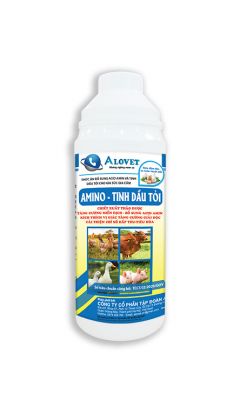 AMINO-TINH DẦU TỎI