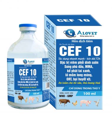 CEF 10