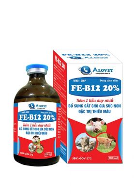 Fe-B12 20%