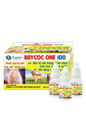 BAYCOC ONE 100